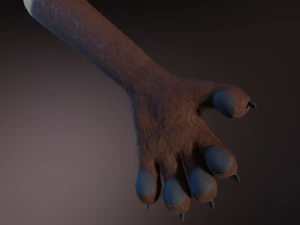 Catalina Anthro Fox 3D Model