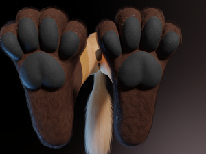 Catalina Anthro Fox Modèle 3D