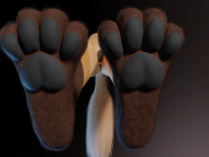 Catalina Anthro Fox 3D Model