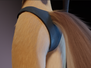 Catalina Anthro Fox Modèle 3D