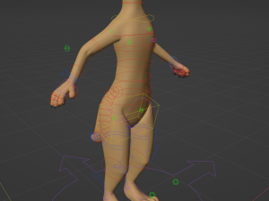 Catalina Anthro Fox Modèle 3D
