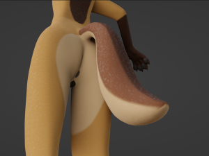 Catalina Anthro Fox Modèle 3D
