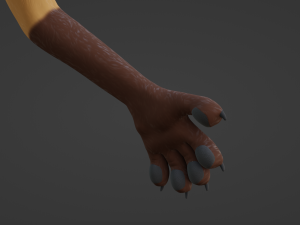 Catalina Anthro Fox Modèle 3D