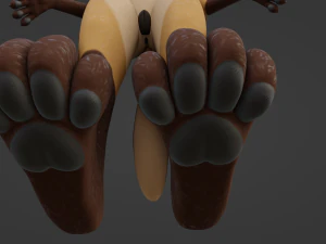 Catalina Anthro Fox 3D Model