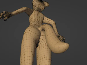 Catalina Anthro Fox 3D Model