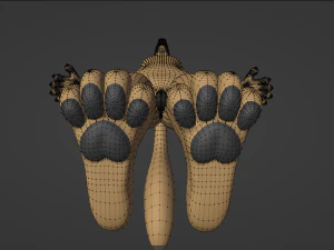 Catalina Anthro Fox 3D Model