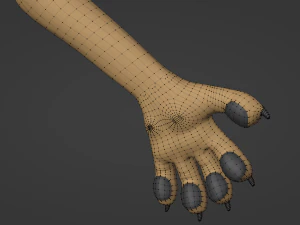 Catalina Anthro Fox 3D Model