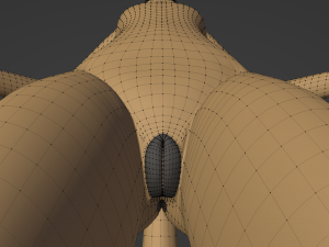 Catalina Anthro Fox Modèle 3D