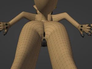Catalina Anthro Fox 3D Model