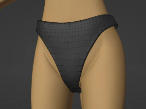 Catalina Anthro Fox 3D Model