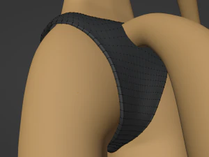 Catalina Anthro Fox 3D Model