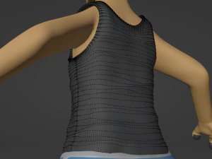 Catalina Anthro Fox 3D Model