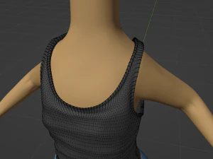 Catalina Anthro Fox 3D Model