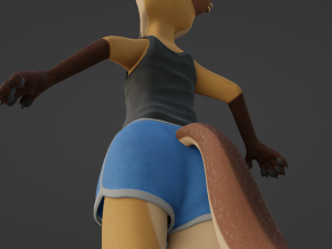 Catalina Anthro Fox Modèle 3D