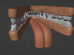 Catalina Anthro Fox 3D Model