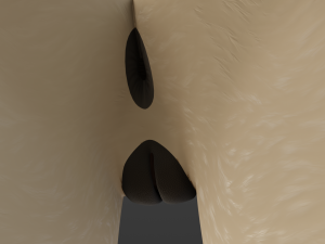 Nayara Anthro Lioness Modelo 3D