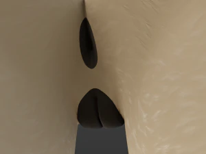 Nayara Anthro Lioness 3D Model