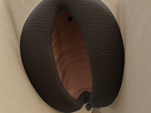Nayara Anthro Lioness Modelo 3D