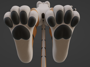 Rebecca Anthro Tiger 3D Model