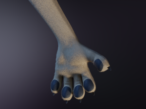 Natalie Anthro Wolf Modelo 3D