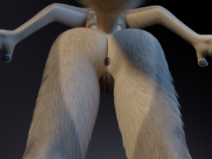 Natalie Anthro Wolf Modelo 3D