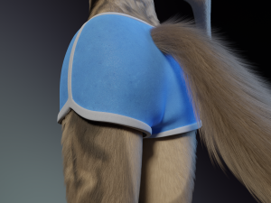 Natalie Anthro Wolf Modelo 3D