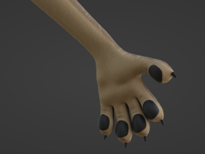 Natalie Anthro Wolf Modelo 3D