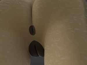 Natalie Anthro Wolf Modelo 3D