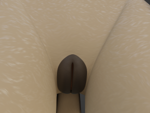 Natalie Anthro Wolf Modelo 3D