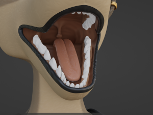 Natalie Anthro Wolf Modelo 3D