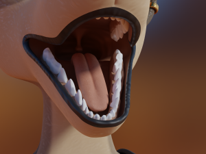 Natalie Anthro Wolf Modelo 3D