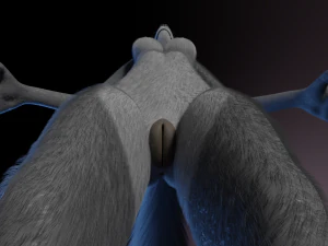 Claire Anthro Lupo Modello 3D