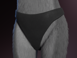Claire Anthro Wolf Modelo 3D