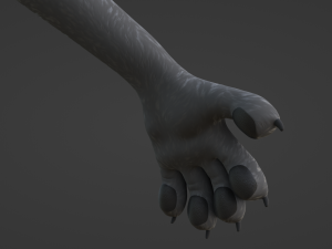 Claire Anthro Wolf Modelo 3D