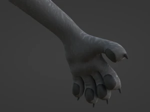 Claire Anthro Lupo Modello 3D