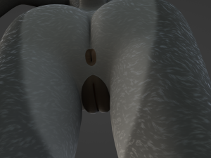 Claire Anthro Wolf Modelo 3D
