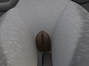 Claire Anthro Wolf Modelo 3D