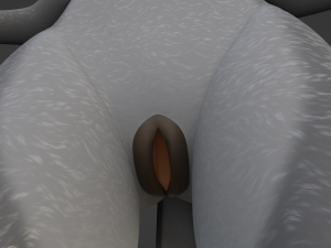 Claire Anthro Wolf Modelo 3D