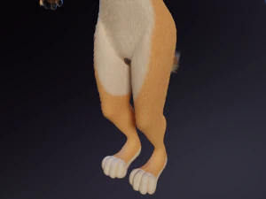 Maggie Anthro Dingo 3D Model