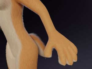 Maggie Anthro Dingo Modèle 3D