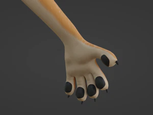 Maggie Anthro Dingo 3D Model