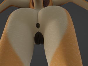 Maggie Anthro Dingo Modèle 3D