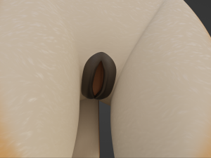 Maggie Anthro Dingo Modèle 3D