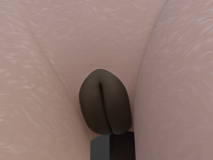 Zuri Anthro Hyena 3D 模型