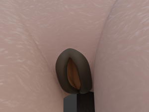 Zuri Anthro Hyena 3D 模型