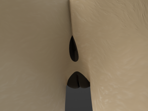 Nicole Anthro Lioness 3D Model