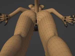 Nicole Anthro Lioness 3D Model