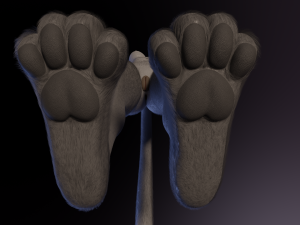 Faye Anthro Panther 3Dモデル