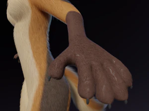 Naomi Anthro Fox 3D Model