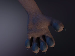 Naomi Anthro Fox 3D Model
